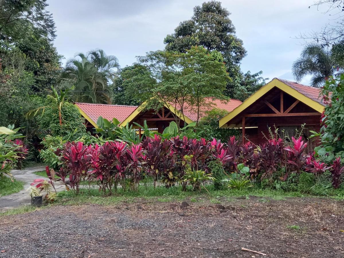 Selvita Lodge Arenal La Fortuna Bagian luar foto