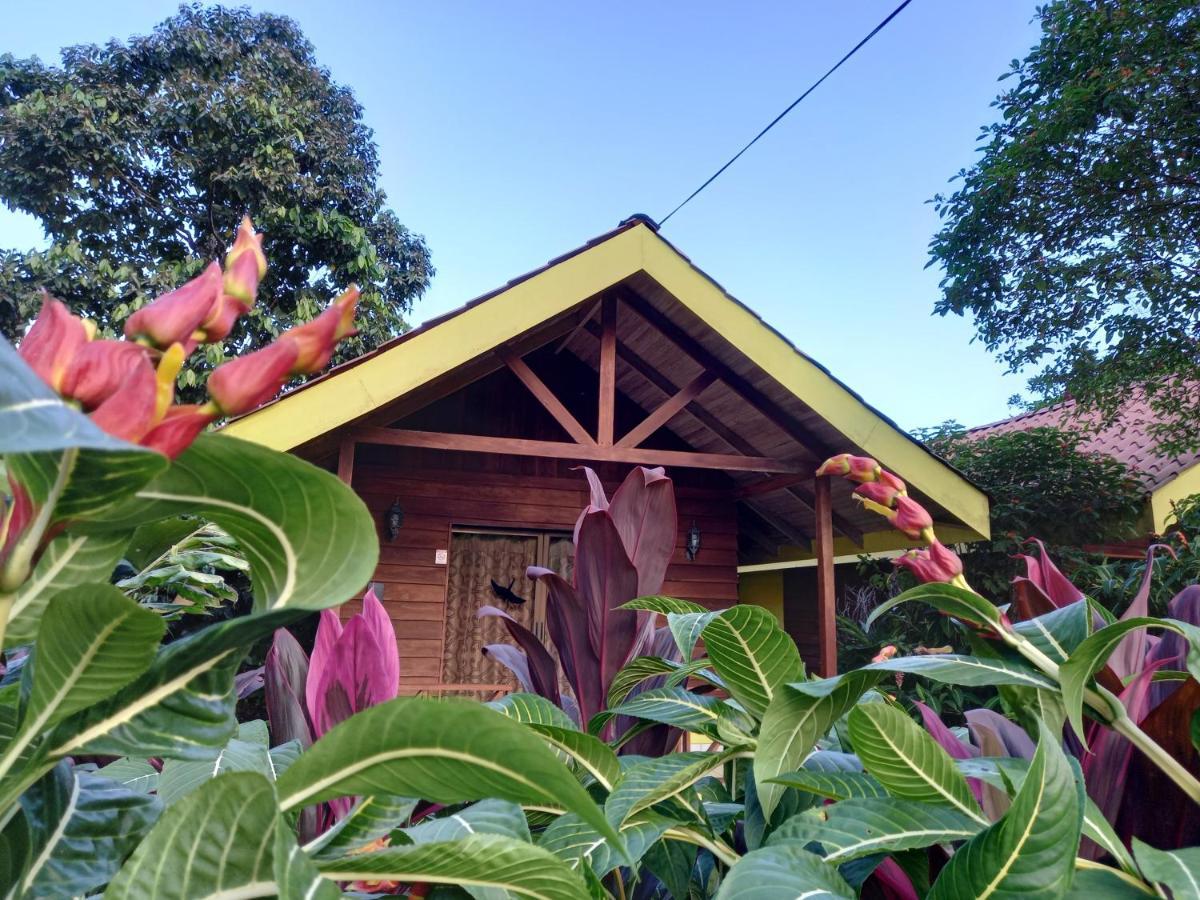 Selvita Lodge Arenal La Fortuna Bagian luar foto